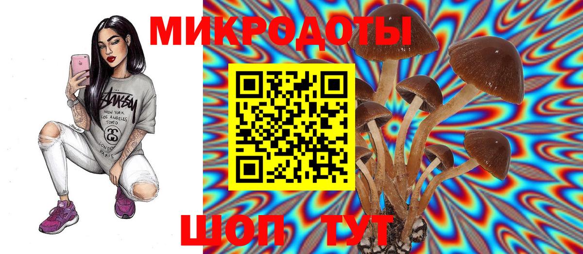 Галлюциногенные грибы Magic Shrooms Грозный