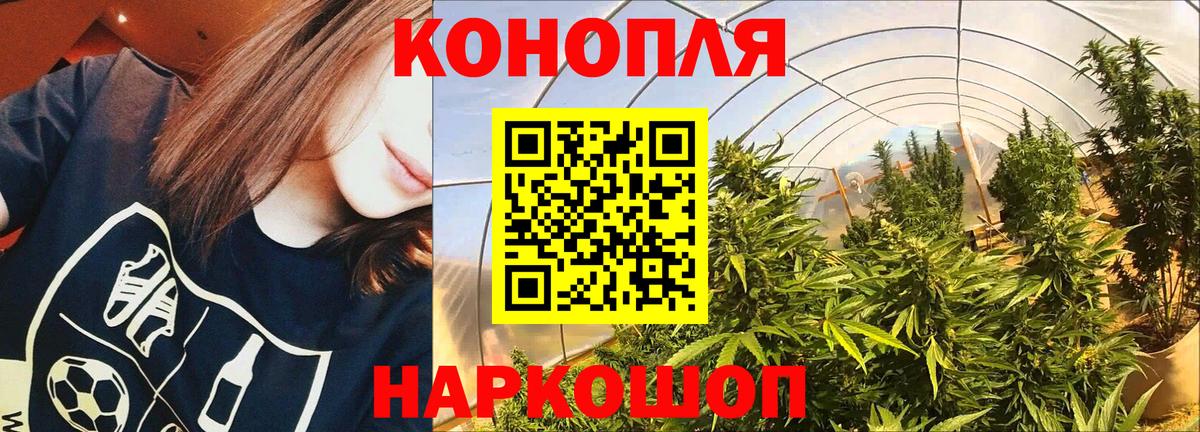 Каннабис AK-47 Грозный